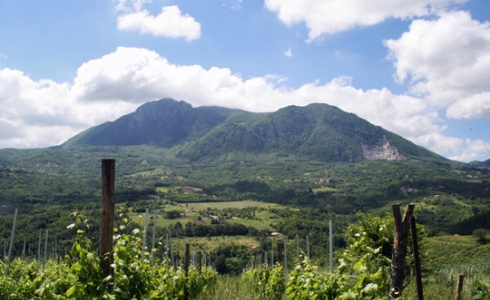 Taurasi dyrkes i Irpinia i Avellino-provinsen, Campania