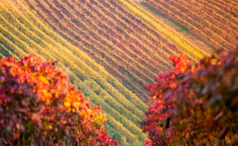 Emilia Romagna landskab 5