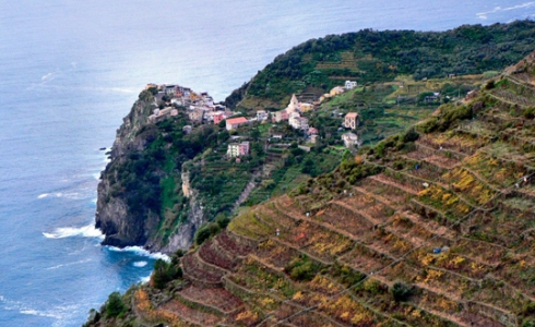 Verdens stejleste vinmarker er i Cinque Terre, Liguria