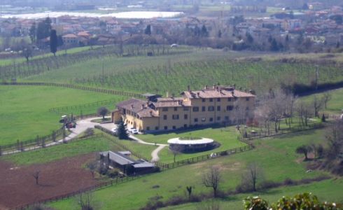 Vingård i Scanzorosciate, Lombardia