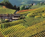 VInmarker i Langhe, Piemonte