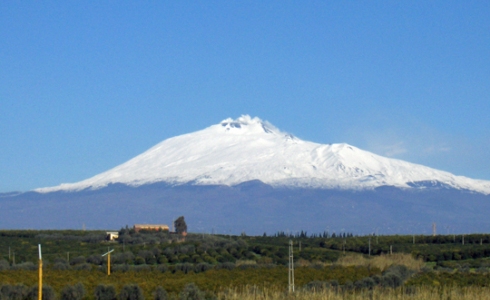 Vinmarker med vulkanen Etna i baggrunden, Sicilia (Sicilien)