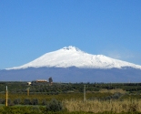 Vinmarker med vulkanen Etna i baggrunden, Sicilia (Sicilien)