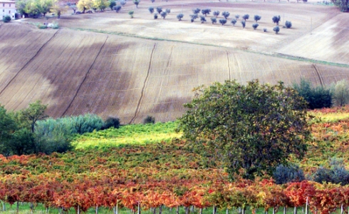 Efterår i Umbria