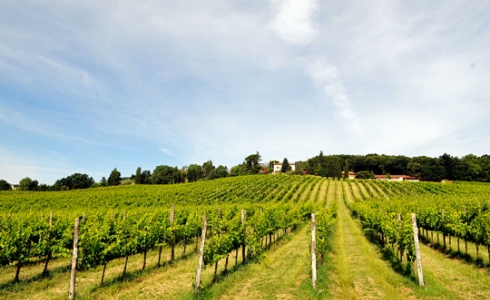 Amelia i Colli Amerini, Umbria